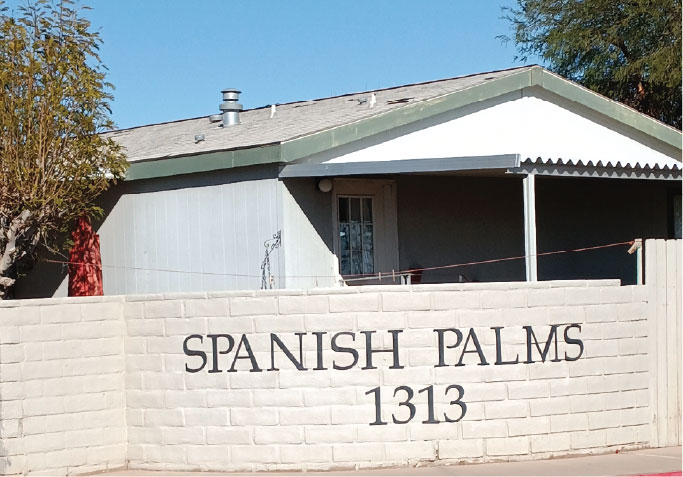 Spanish Palms